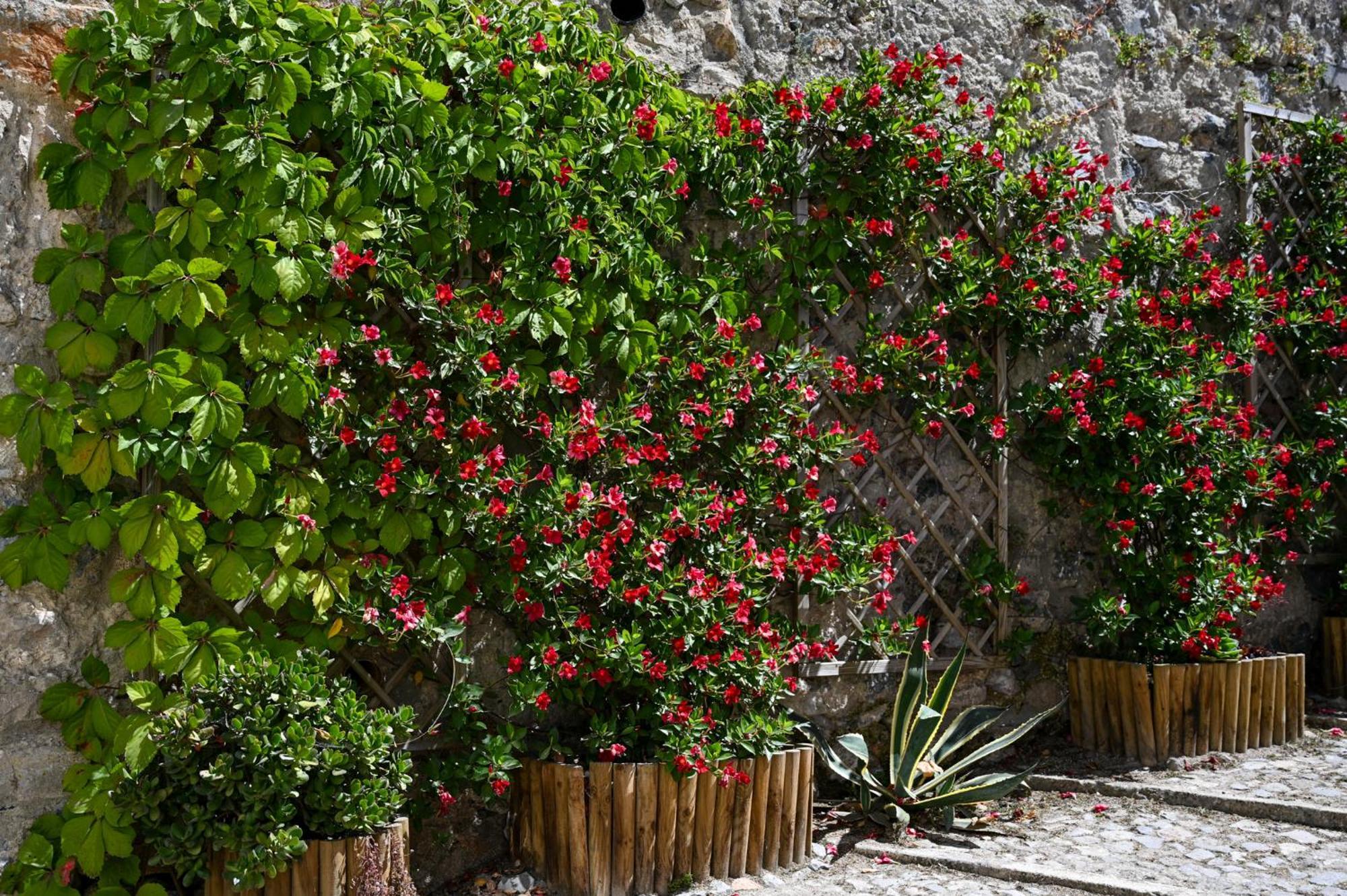 Casa Do Briamante 9 Apartment ซินตรา ภายนอก รูปภาพ